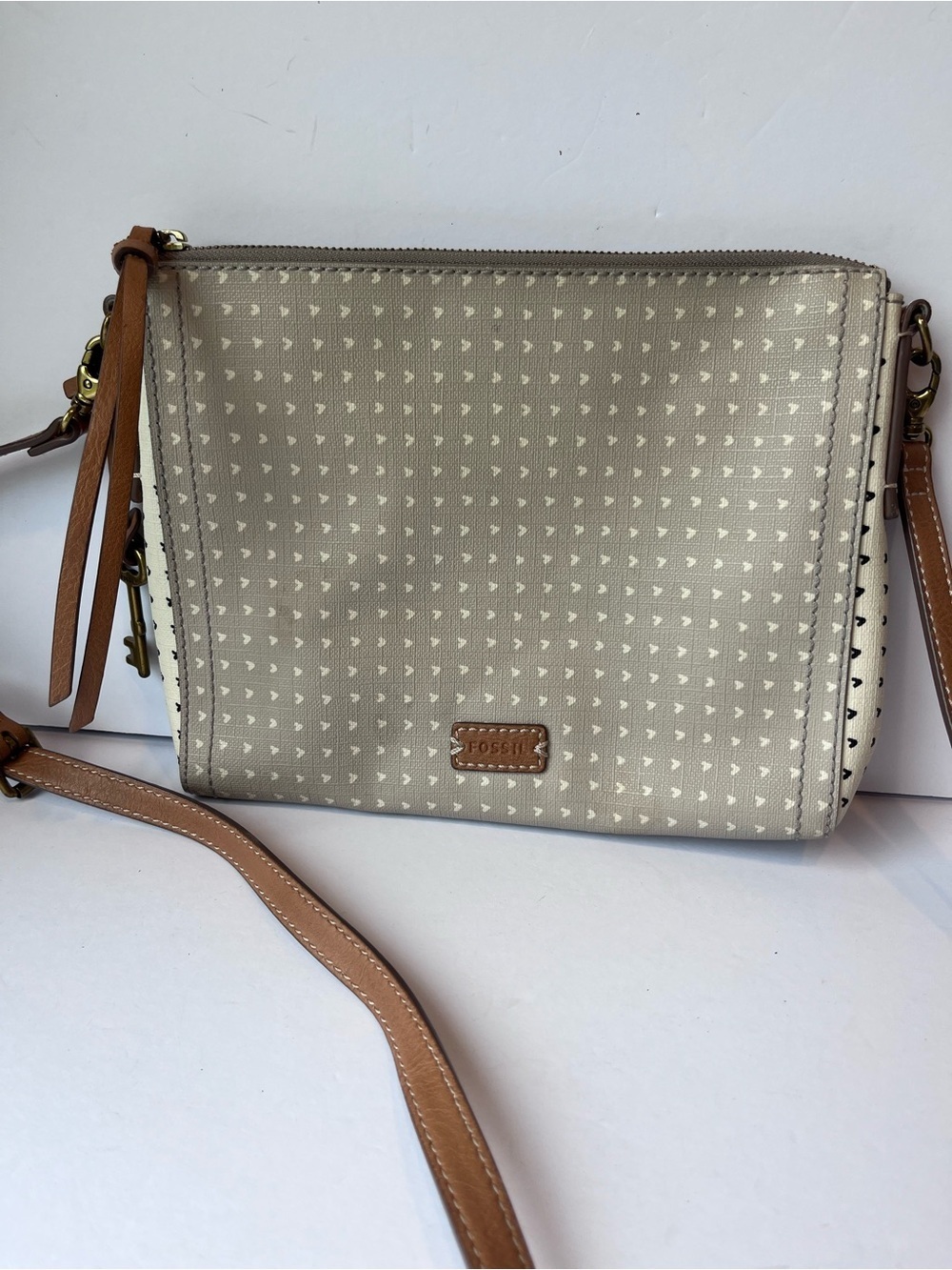 Fossil Crossbody Bag